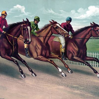 HorseHunches 